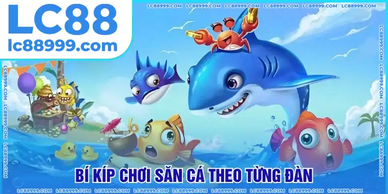 Chơi săn cá theo từng đàn Chơi săn cá theo từng đàn