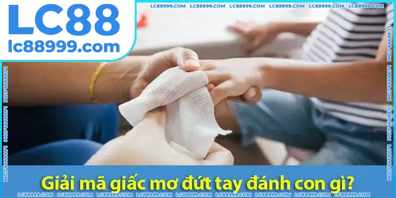 Giải mã giấc mơ đứt tay đánh con gì? Giải mã giấc mơ đứt tay đánh con gì? Hình ảnh minh họa một bàn tay bị đứt