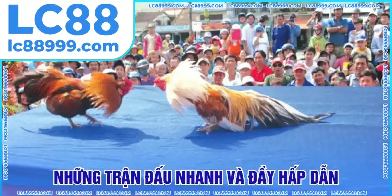 Những trận đấu nhanh và đầy hấp dẫn Những trận đấu nhanh và đầy hấp dẫn