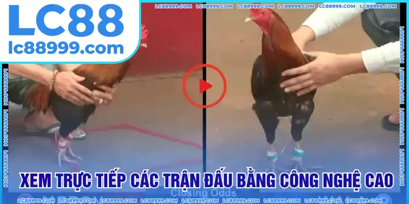 Xem trực tiếp các trận đấu bằng công nghệ cao Xem trực tiếp các trận đấu bằng công nghệ cao